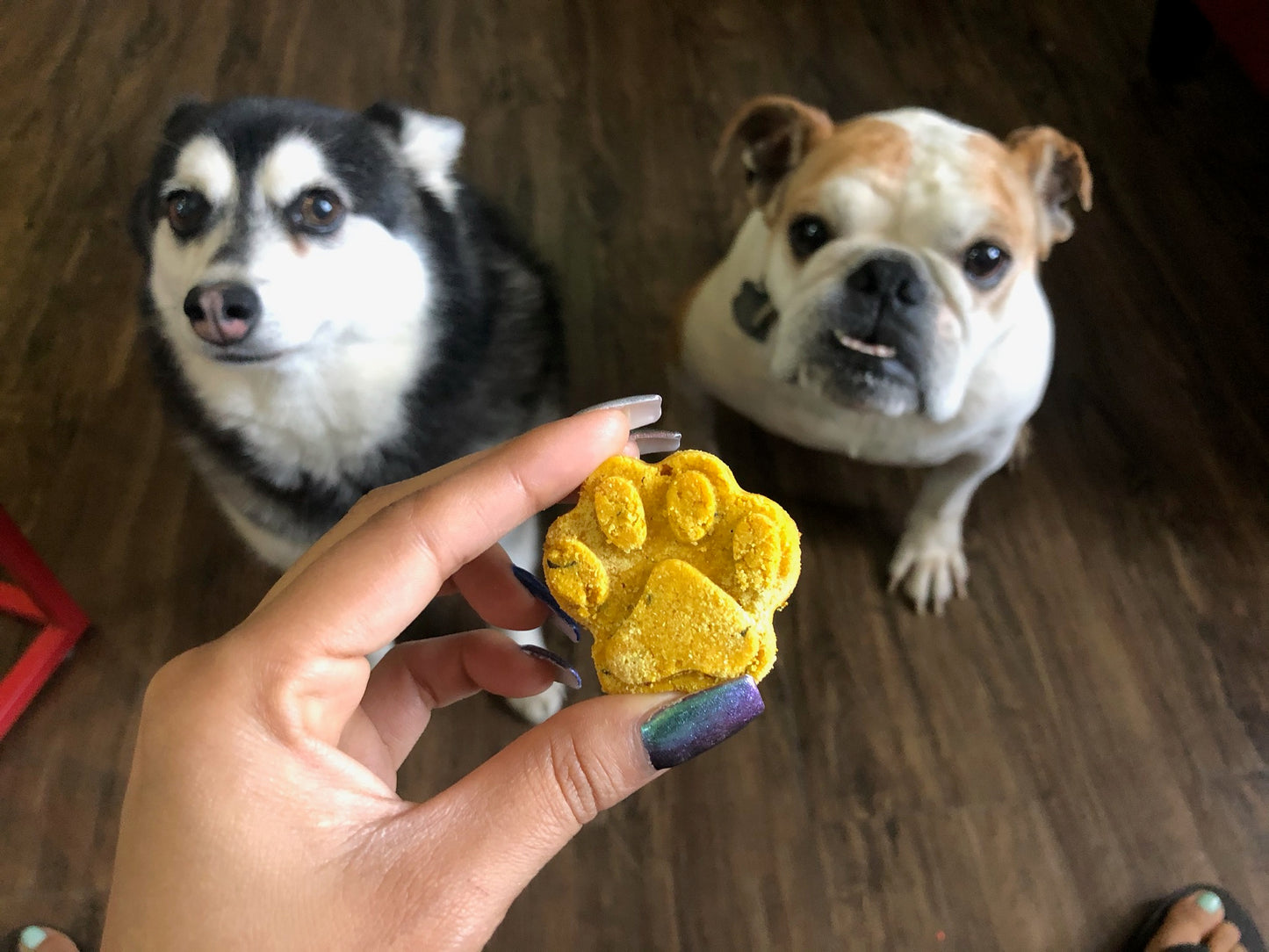 Grain Free Pumpkin Softies