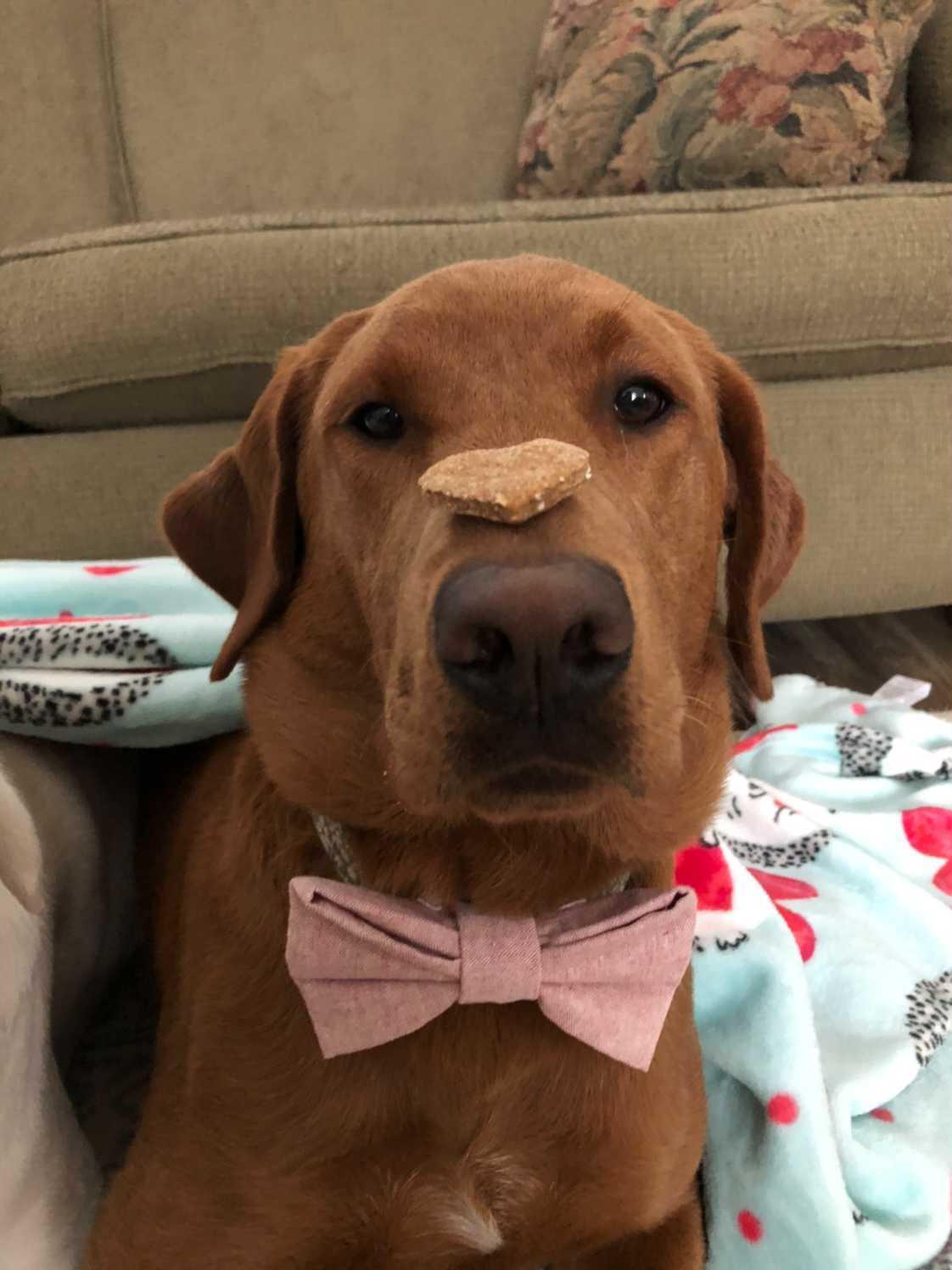 Valentines Day Themed