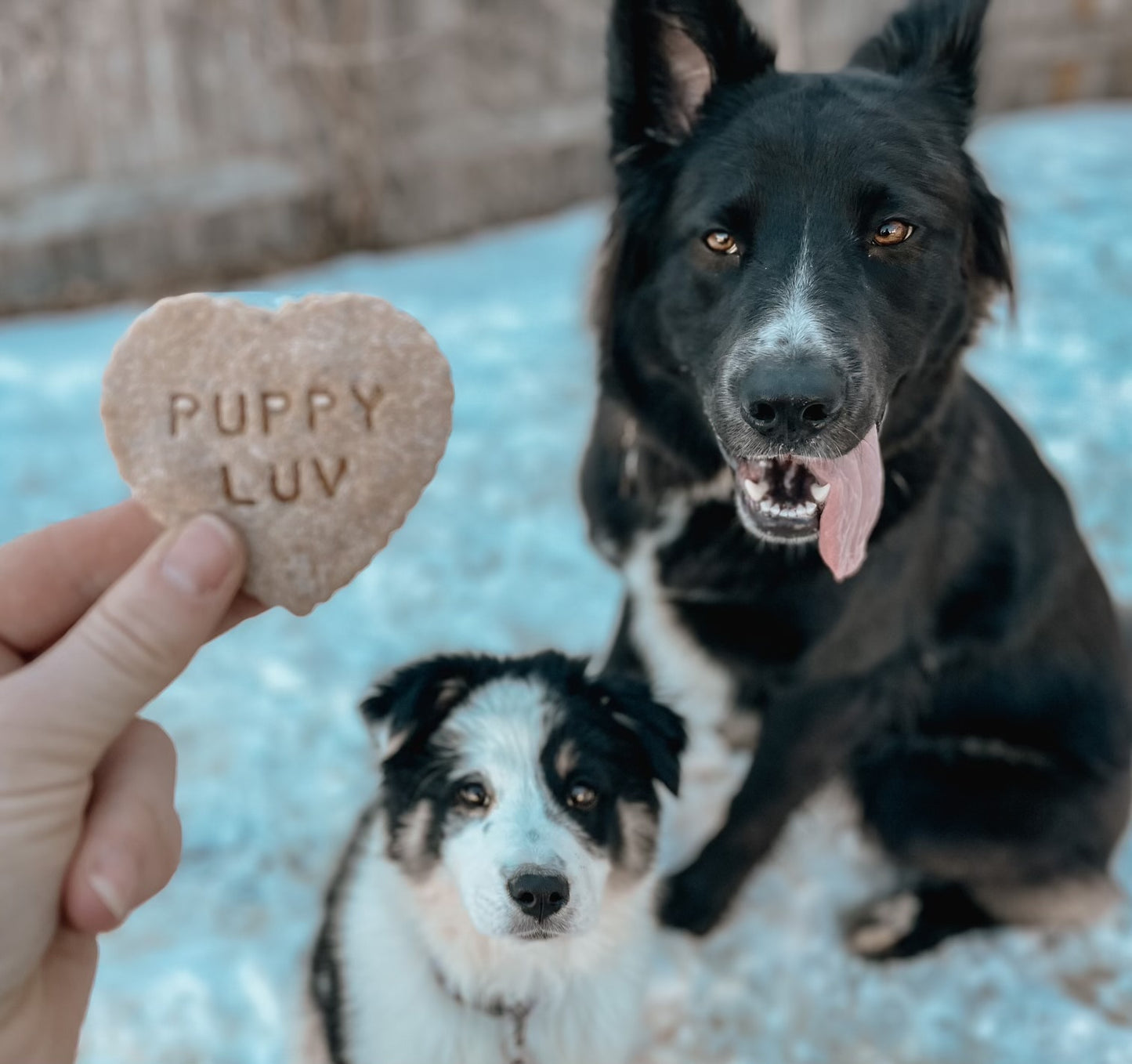 Valentines Day Themed