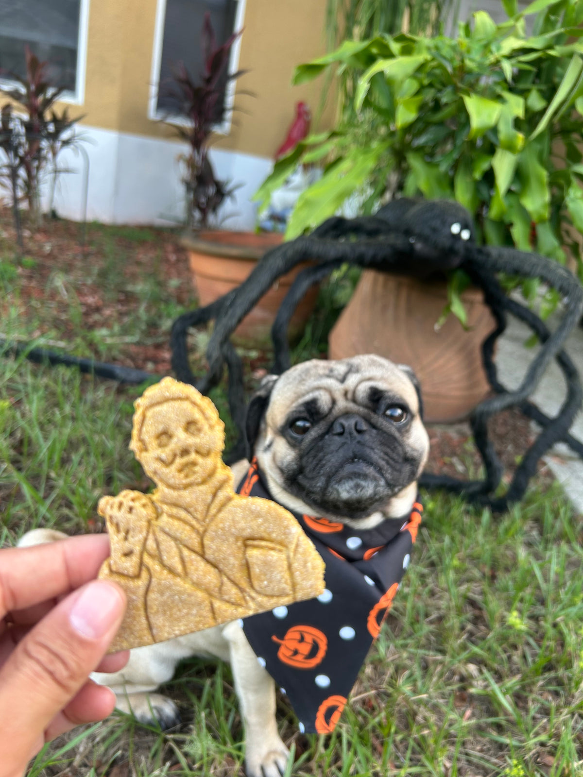 Halloween At Earl's