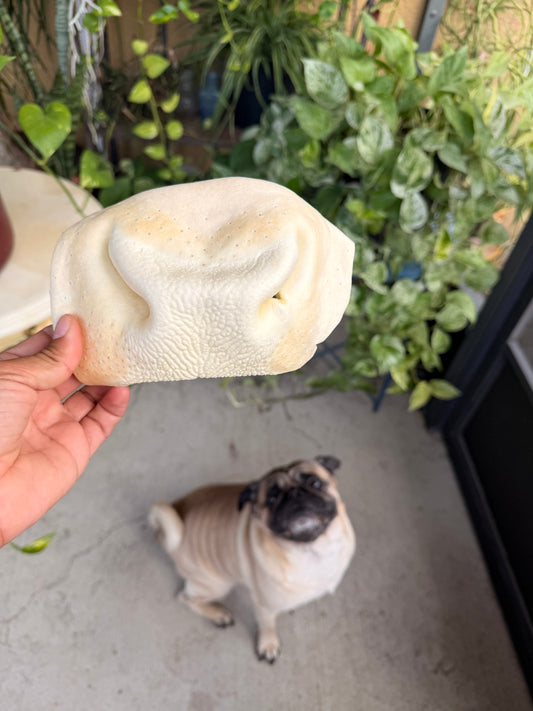 Cow Snout Chew