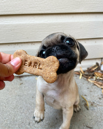 Harvest Bran Treats