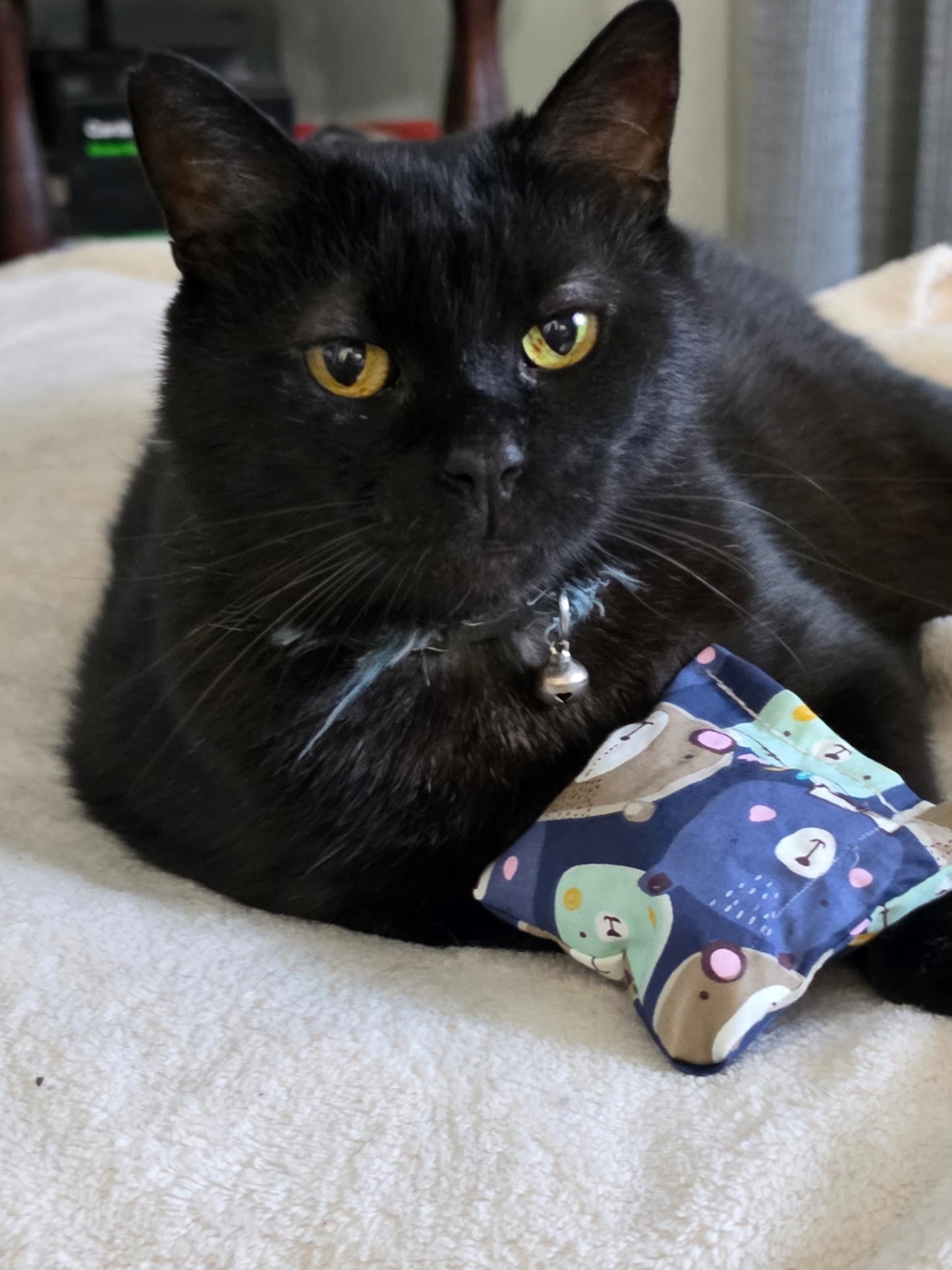 Catnip Toys