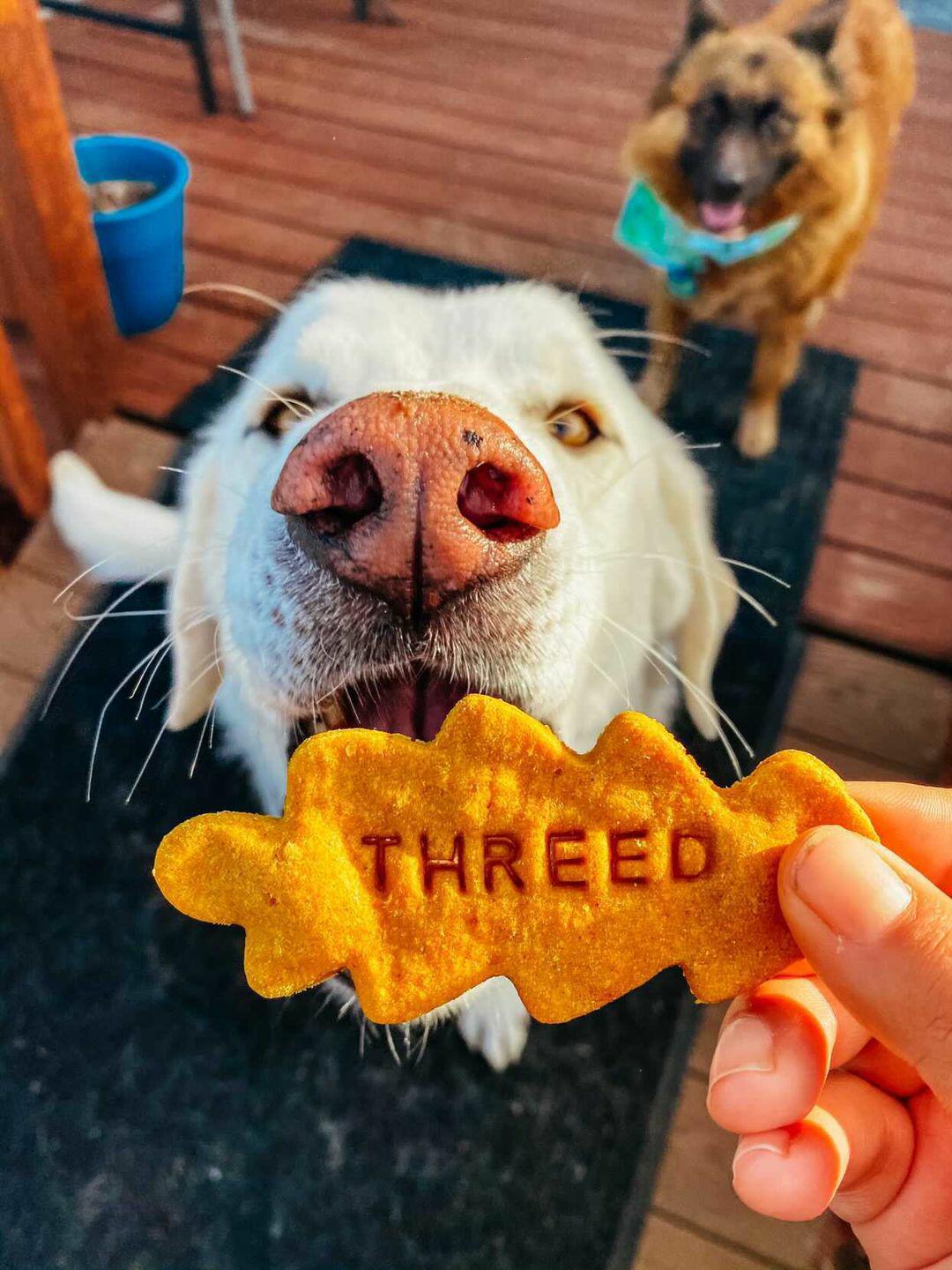 Personalized Treat Stamp