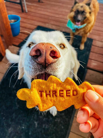 Personalized Treat Stamp
