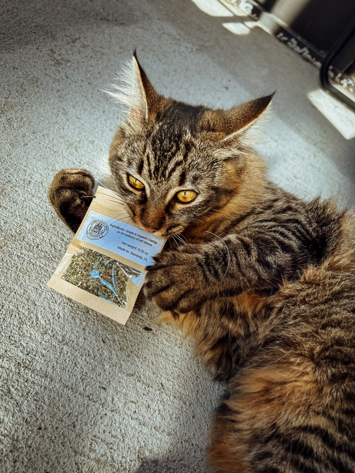 Gumby’s Giggle Grass 🌿
Premium Organic Catnip