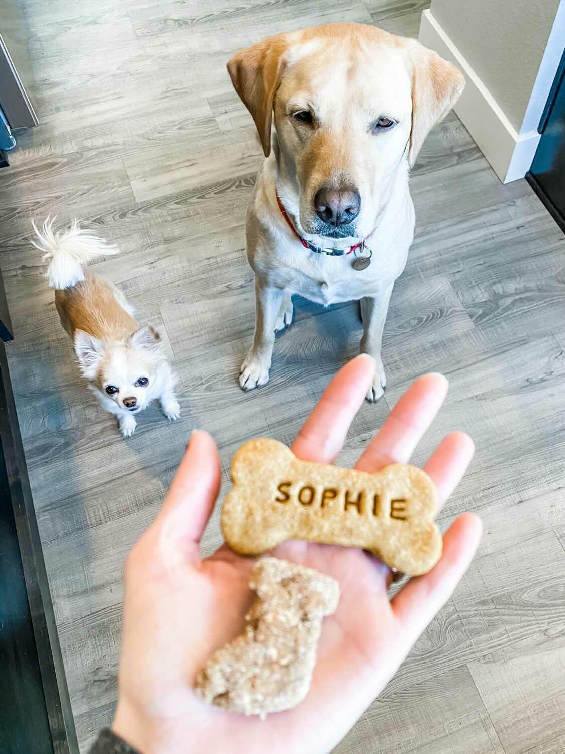 Personalized Treat Stamp