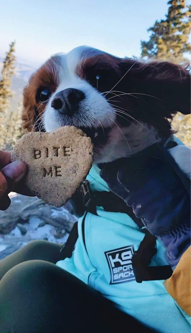 Valentines Day Themed