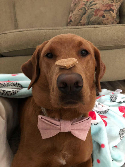 Valentines Day Themed