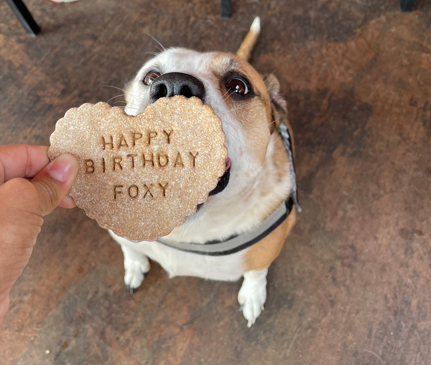 Birthday Themed