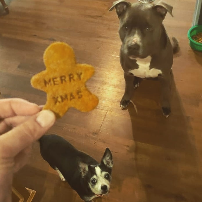 Christmas Themed