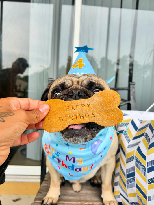 Birthday Themed