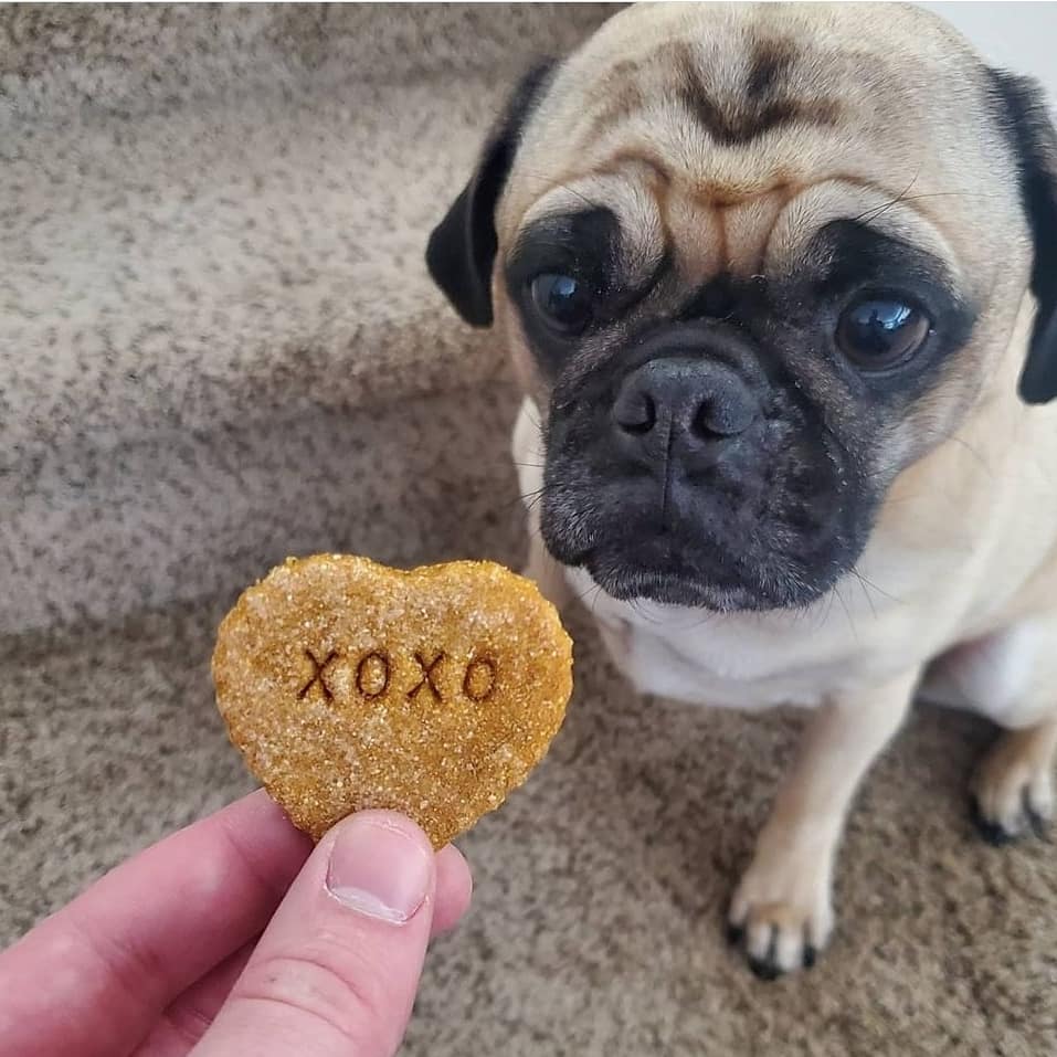 Valentines Day Themed