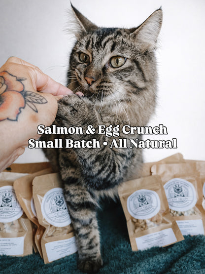 Salmon & Egg Cat Treats