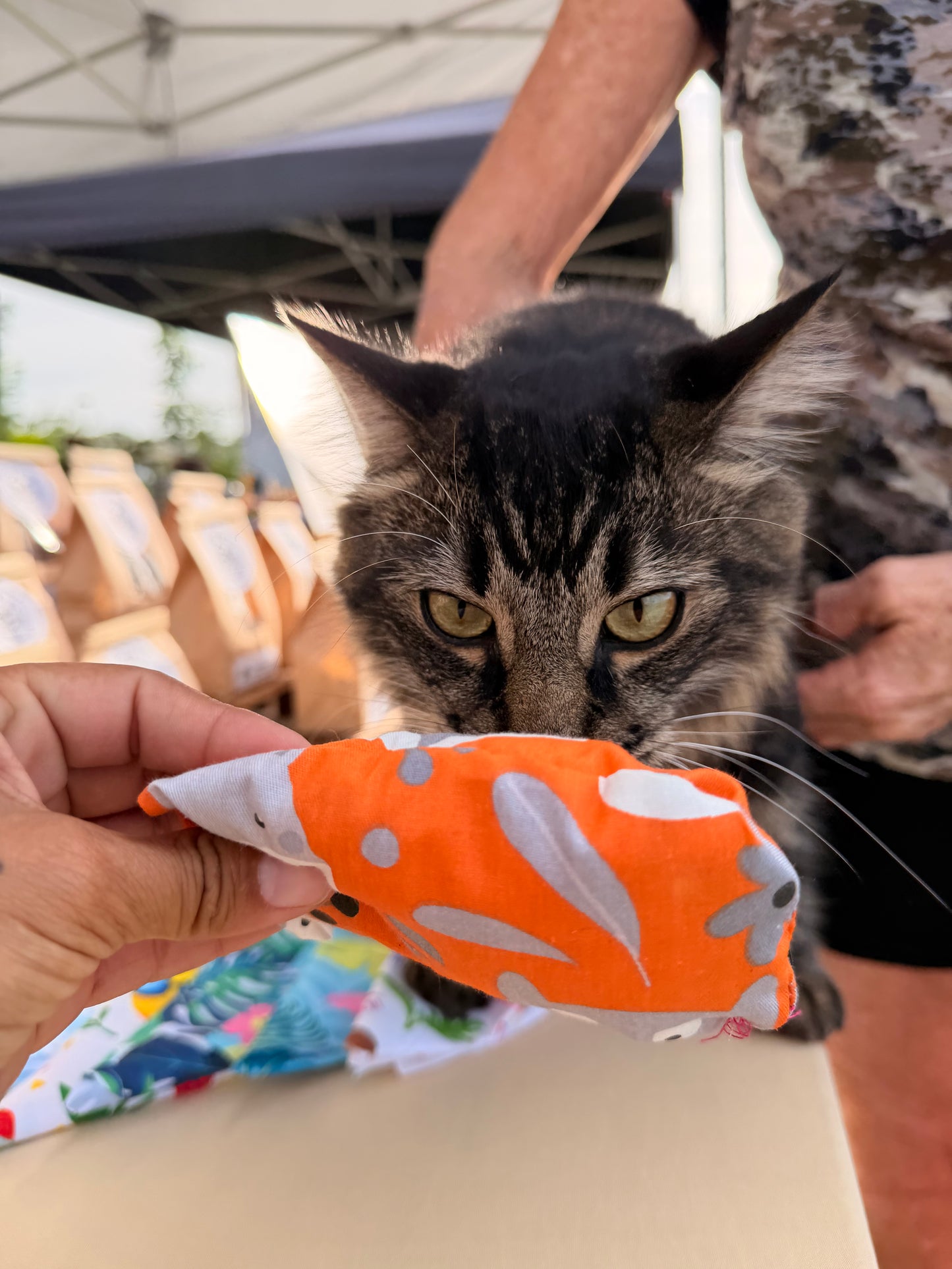 Catnip Toys