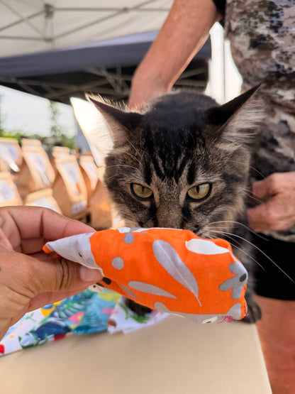 Catnip Toys