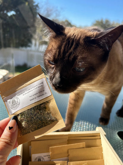 Gumby’s Giggle Grass 🌿
Premium Organic Catnip