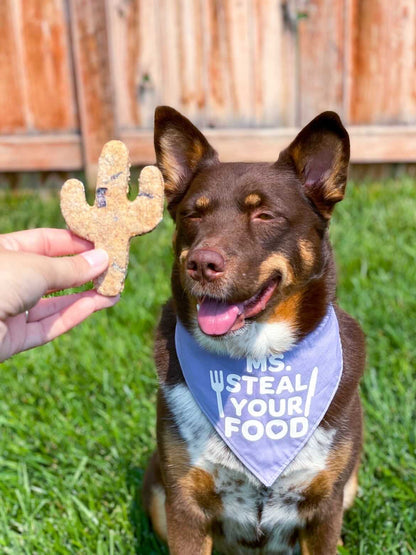 Blueberry Breakfast Cookies