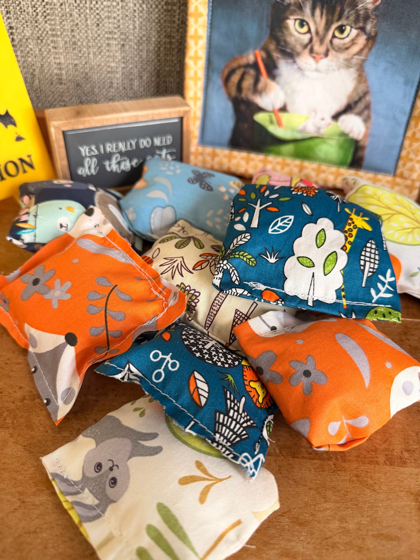 Catnip Toys