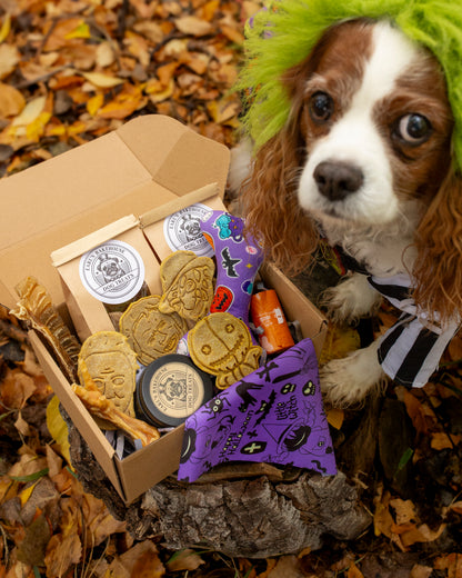 Earl's Spooky Snacks Crumb Box (NOT A RECURRING SUBSCRIPTION)