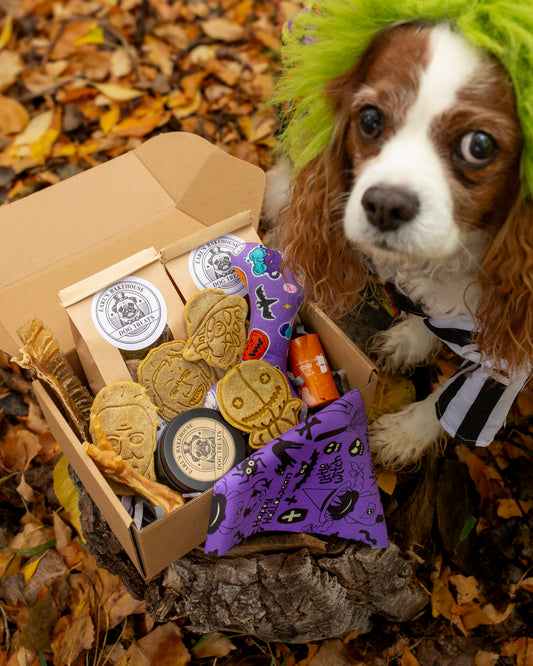 Earl's Spooky Snacks Crumb Box (NOT A RECURRING SUBSCRIPTION)