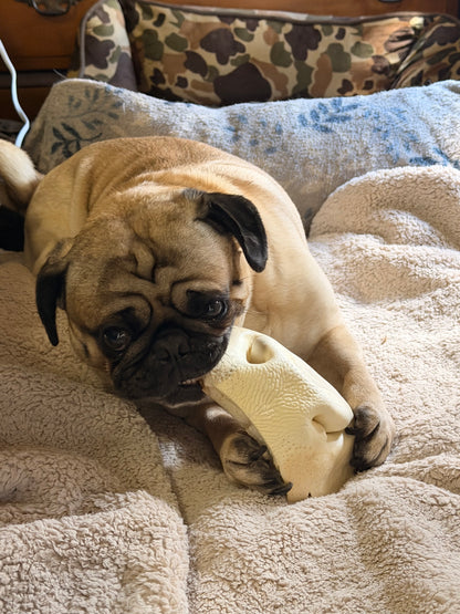 Cow Snout Chew