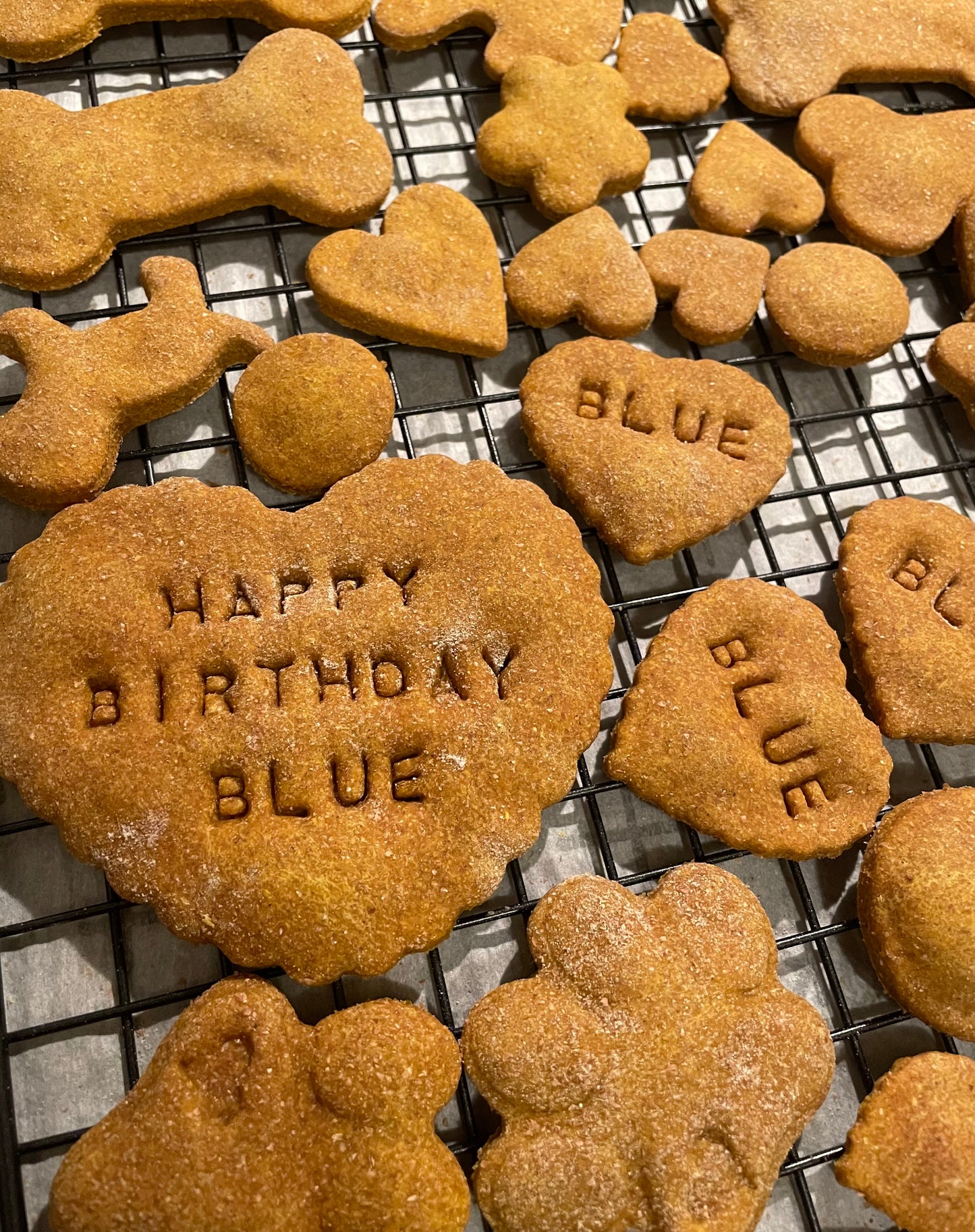 Birthday Themed