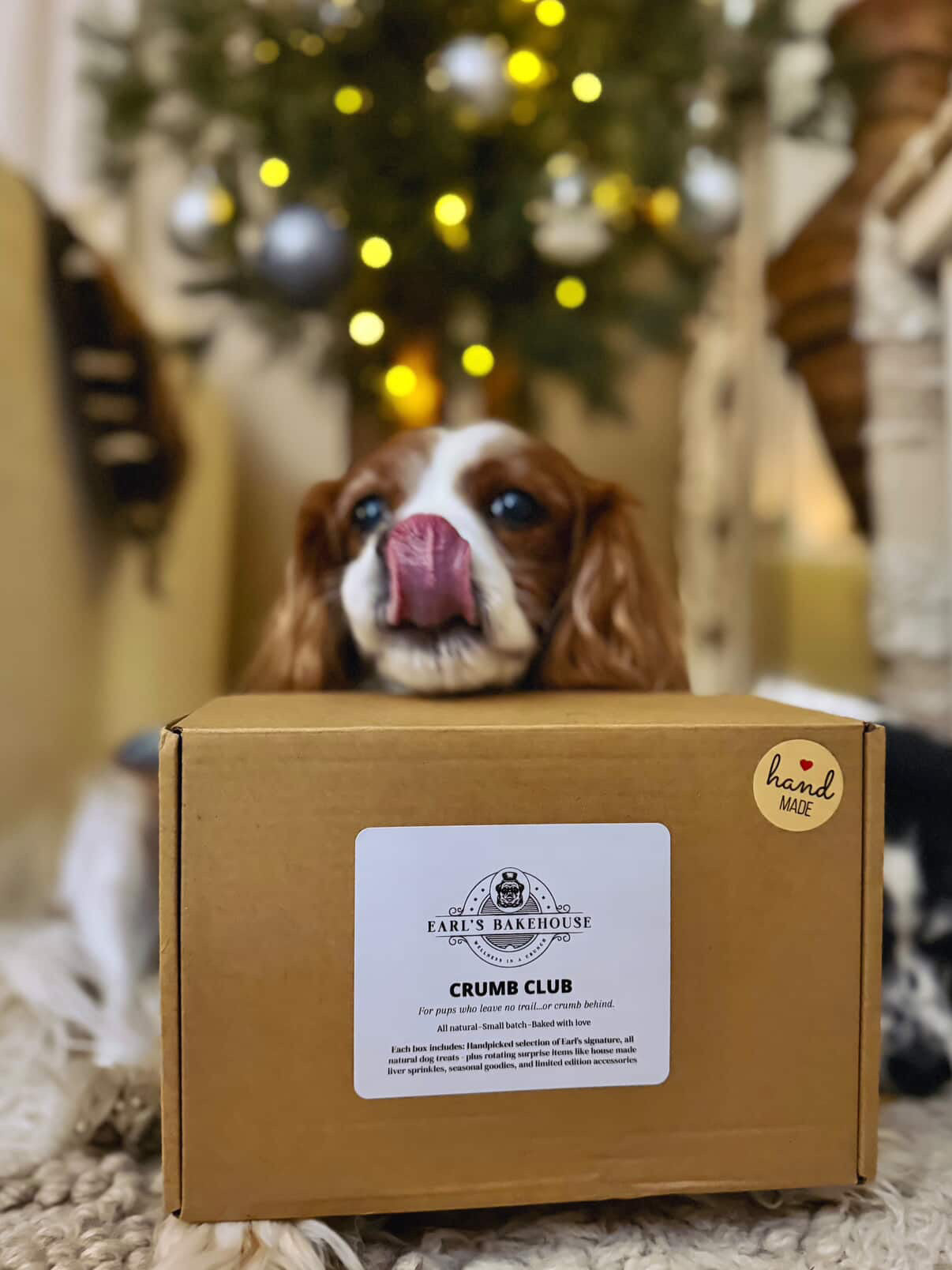 Earl's Monthly Crumb Club Box