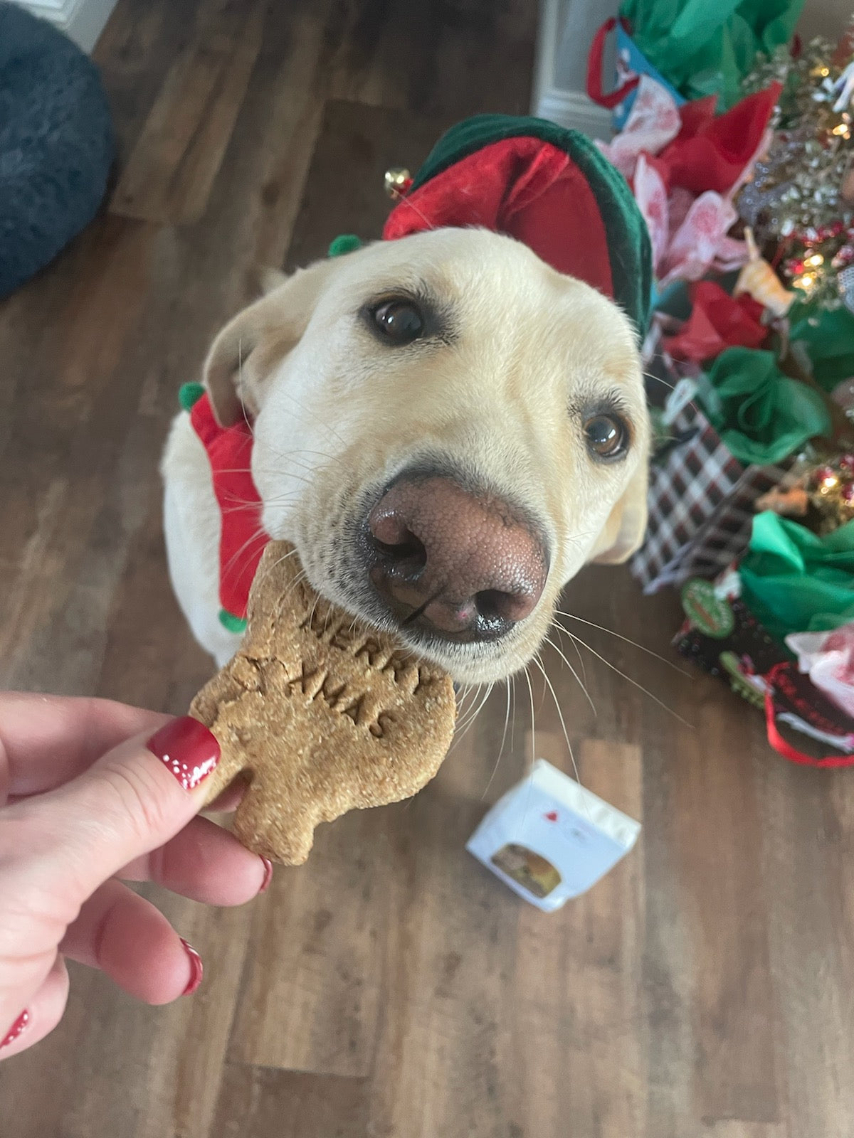 Christmas Themed