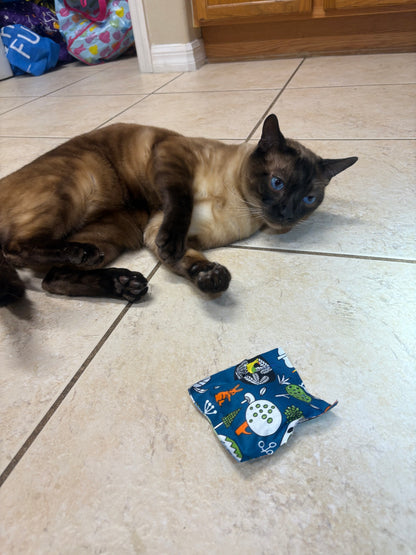 Catnip Toys