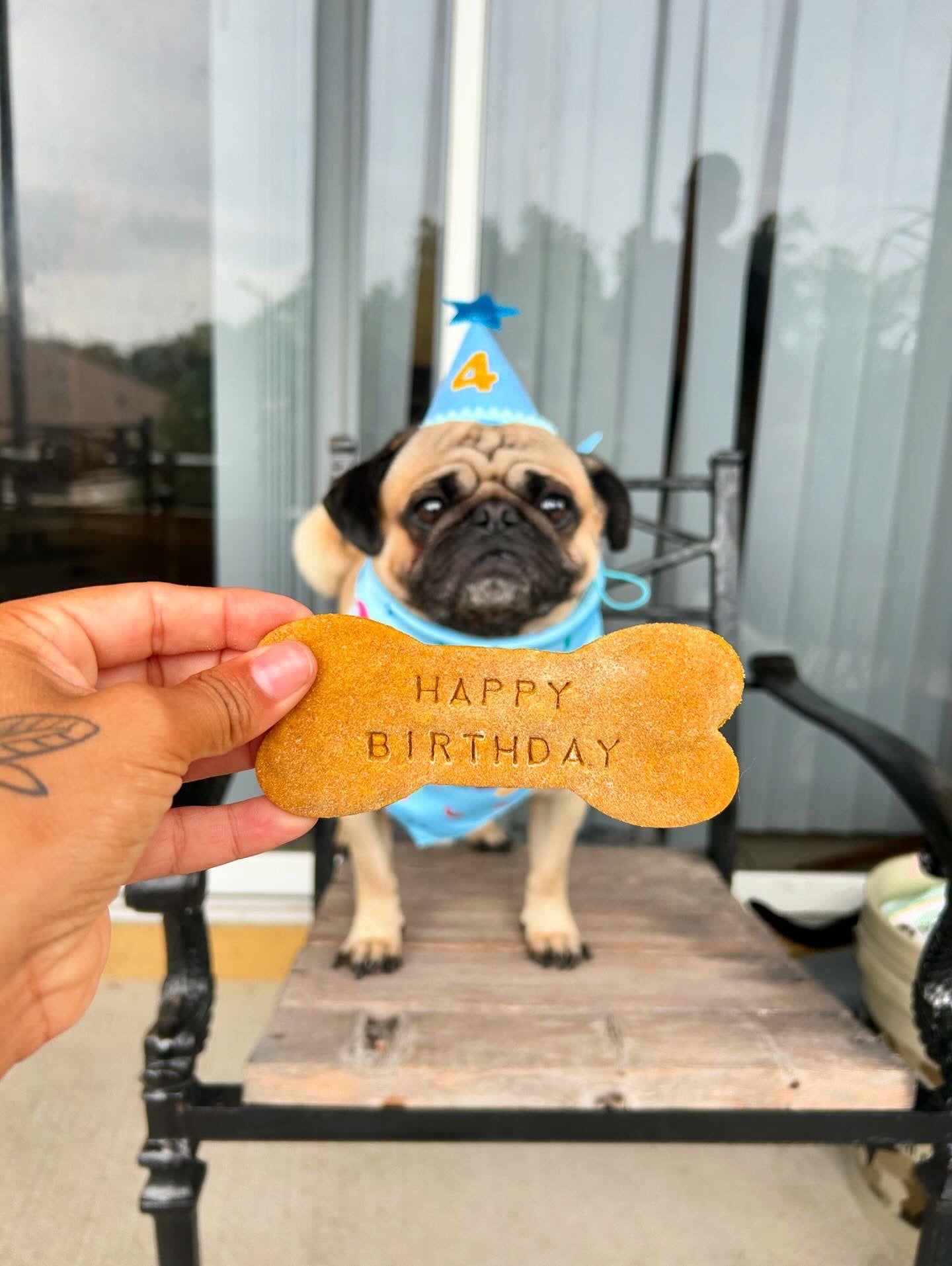 Birthday Themed