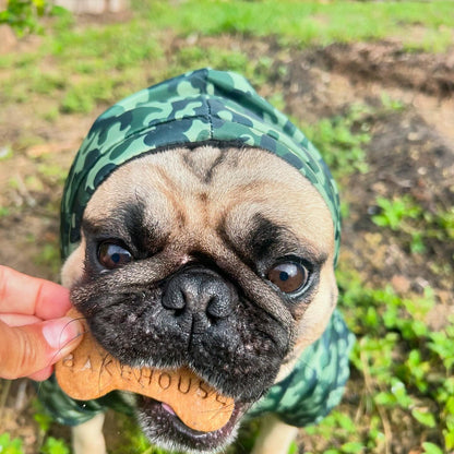 Banana Chia Boost Biscuits