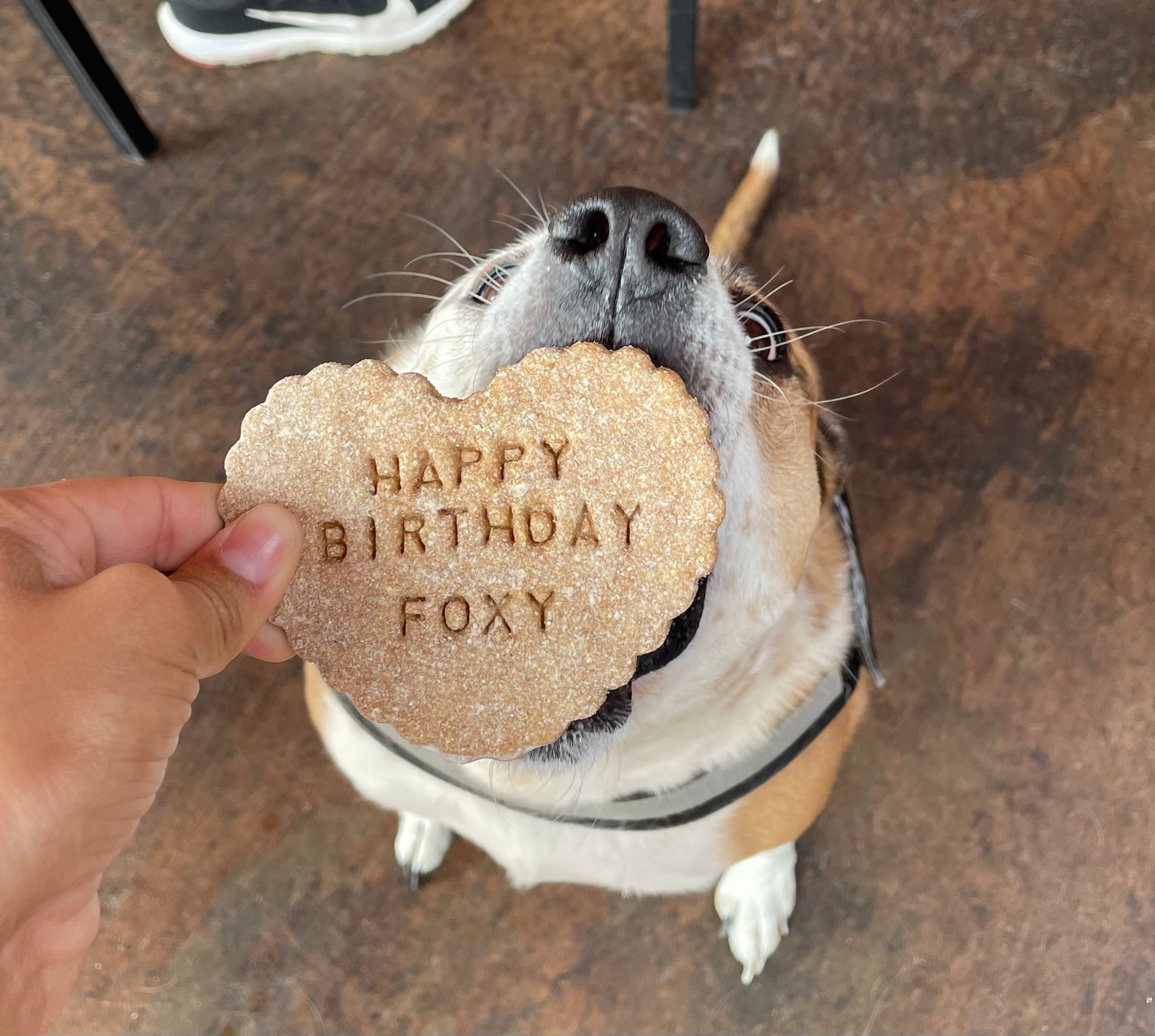 Birthday Themed