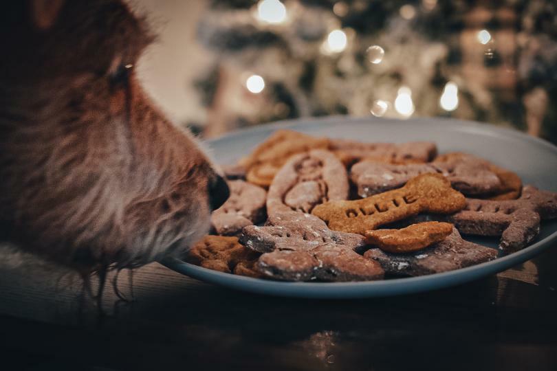 Christmas Themed