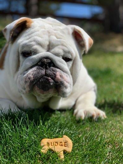 Personalized Treat Stamp