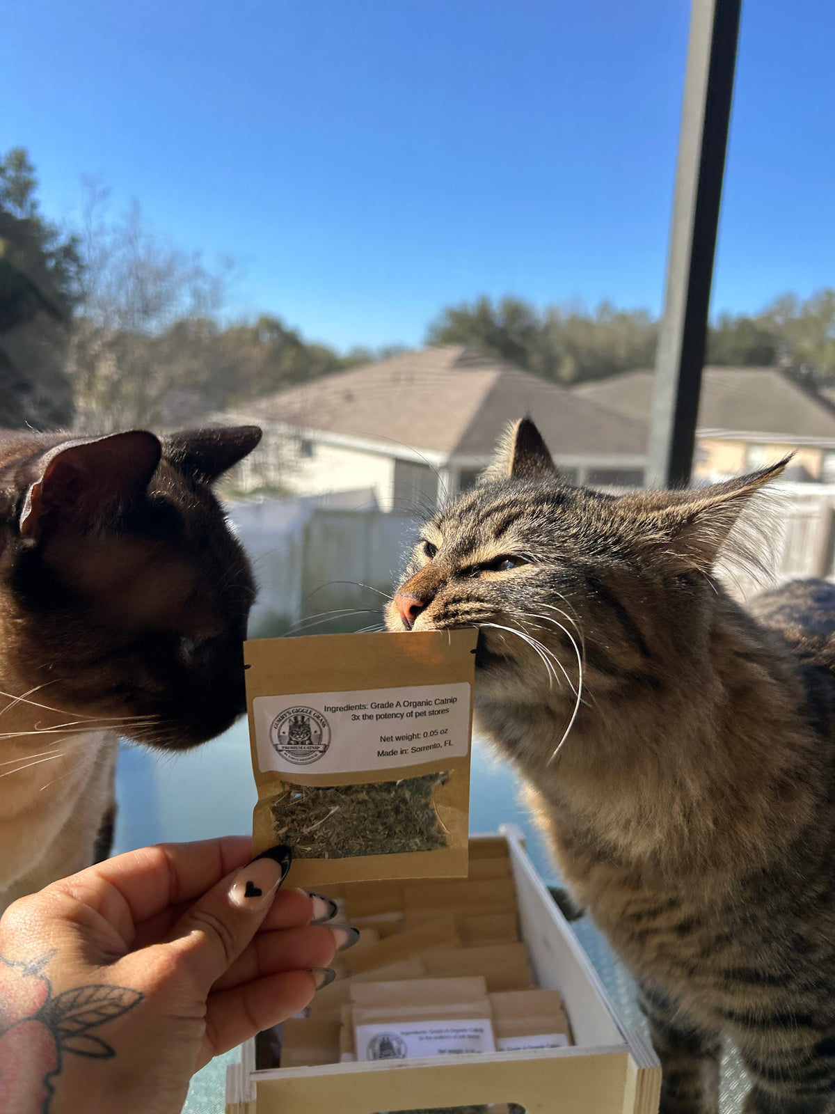Gumby’s Giggle Grass 🌿
Premium Organic Catnip