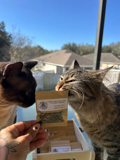 Gumby’s Giggle Grass 🌿
Premium Organic Catnip