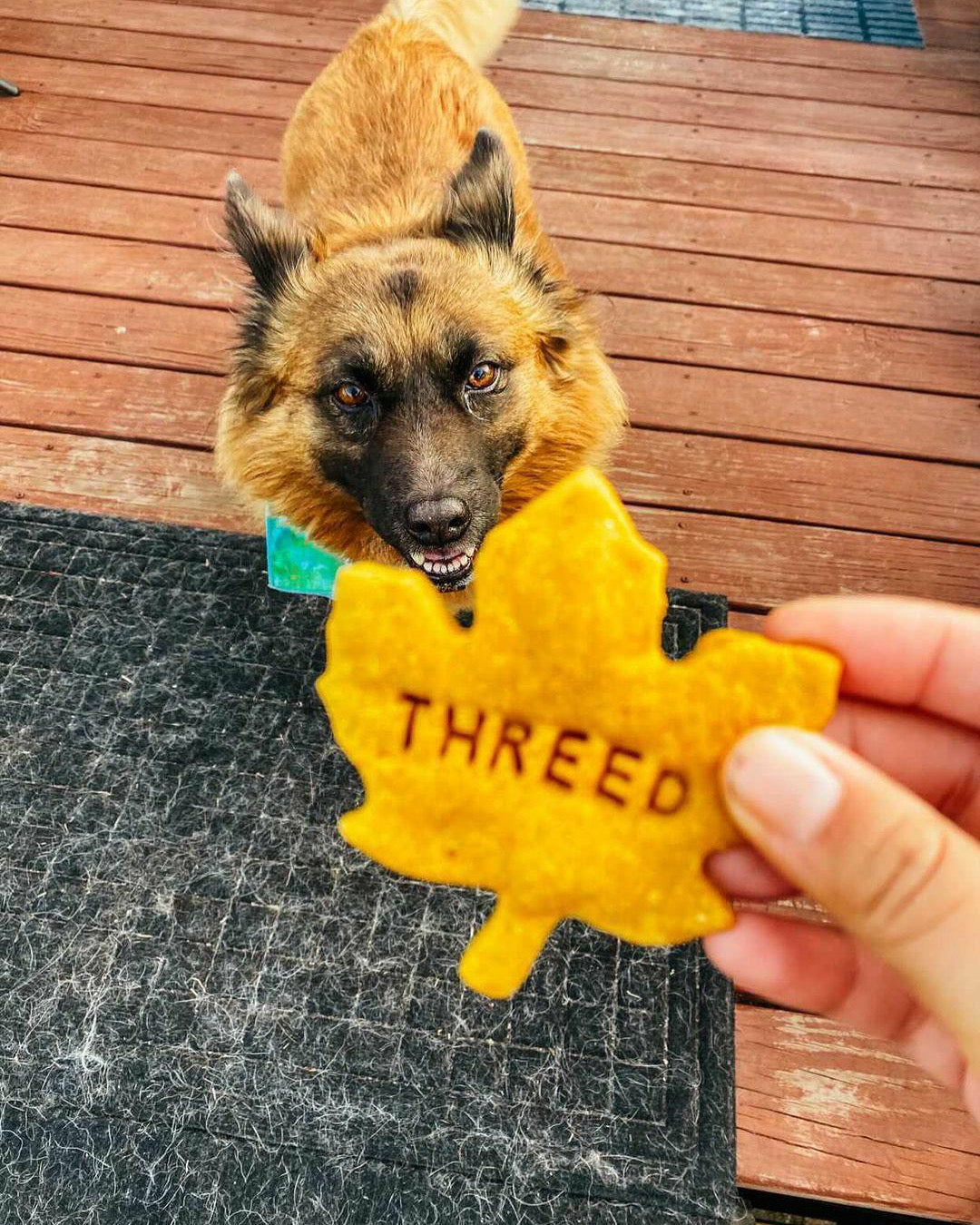 Personalized Treat Stamp