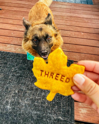Personalized Treat Stamp