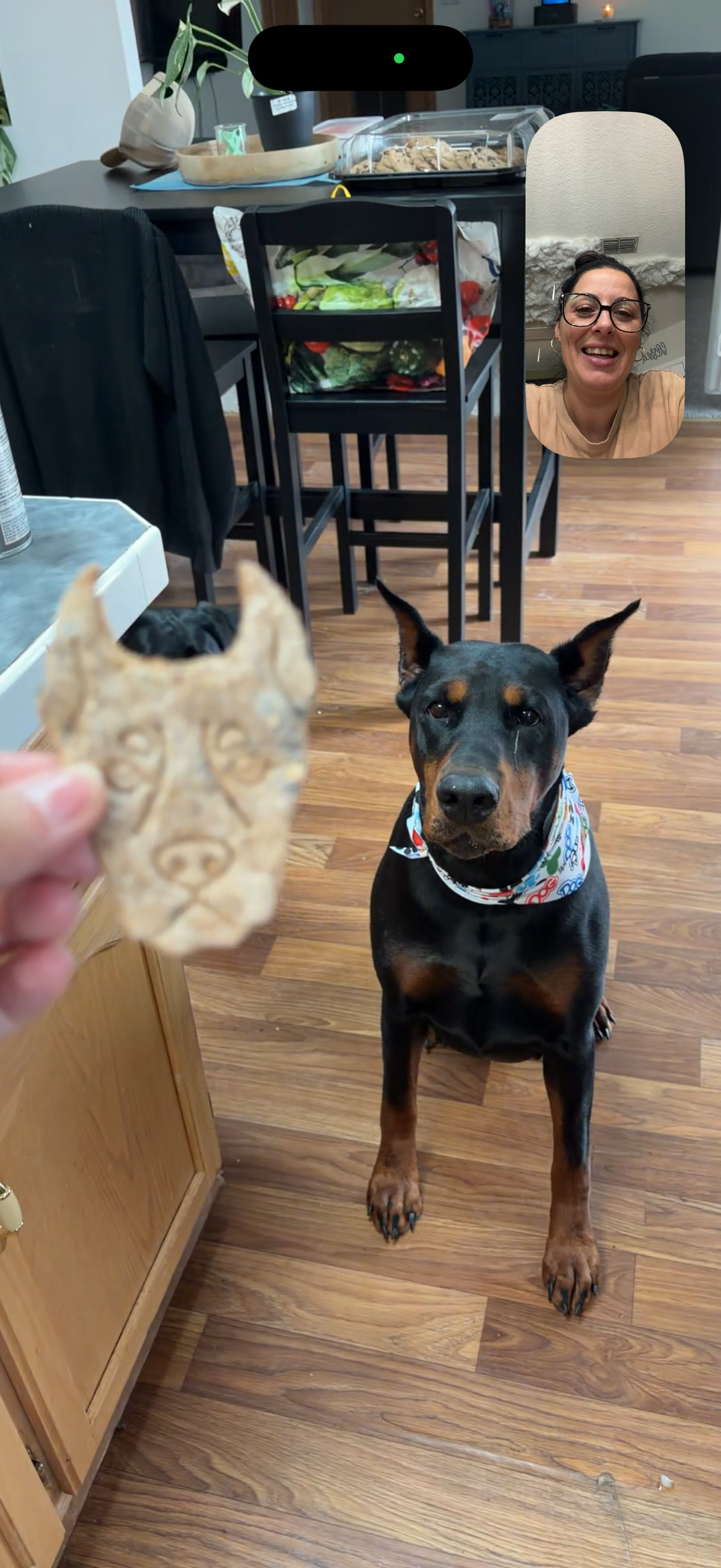 Breed Specific Shapes