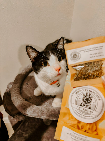 Gumby’s Giggle Grass 🌿
Premium Organic Catnip