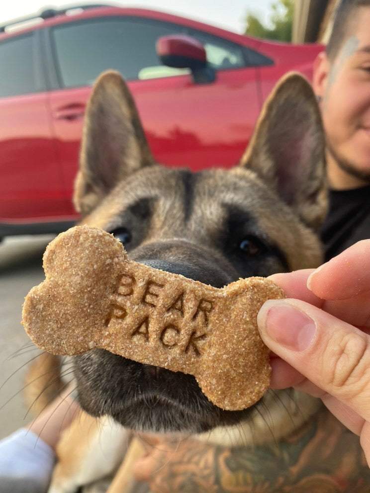 Harvest Bran Treats