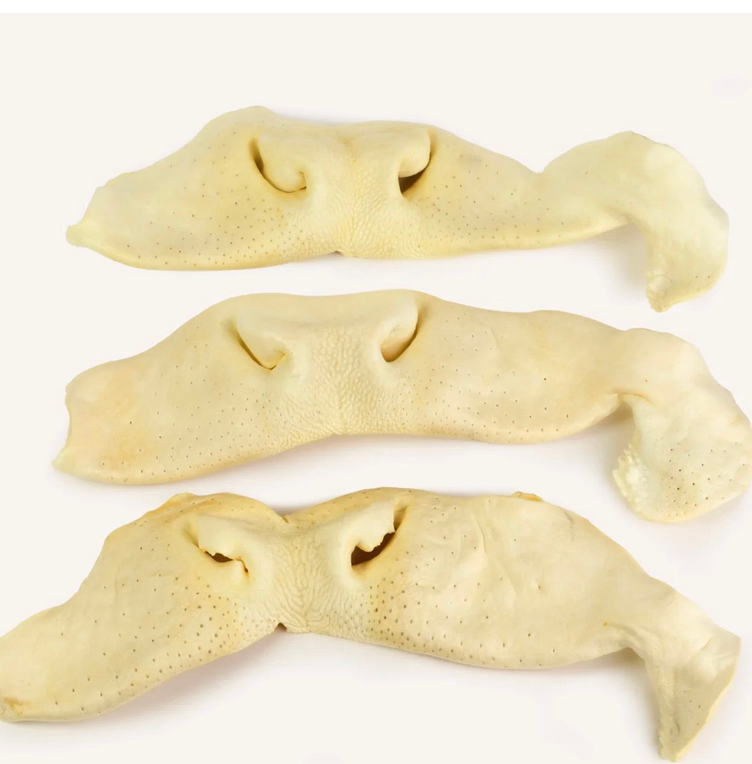 Cow Snout Chew