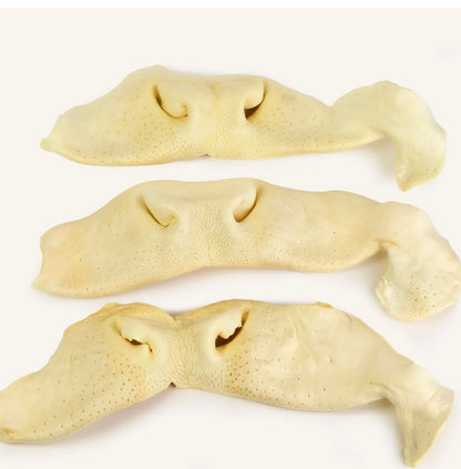Cow Snout Chew
