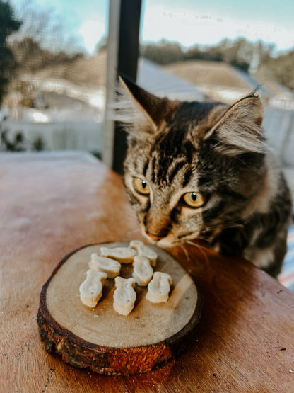 Tuna & Egg Cat Treats