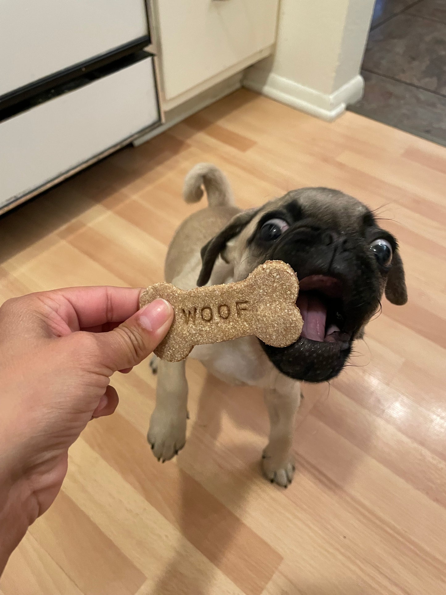 Harvest Bran Treats